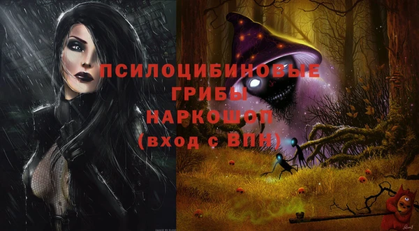 винт Лабытнанги