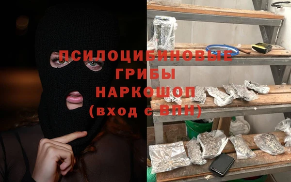 гидра Лагань