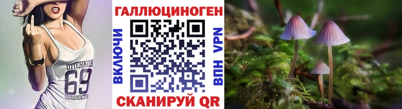 Галлюциногенные грибы GOLDEN TEACHER  наркотики  Сычёвка 