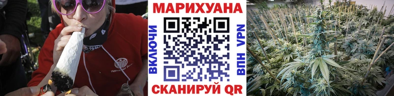 Канабис сатива  где продают   Сычёвка 